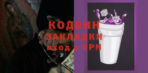 ГАЛЛЮЦИНОГЕННЫЕ ГРИБЫ Михайлов