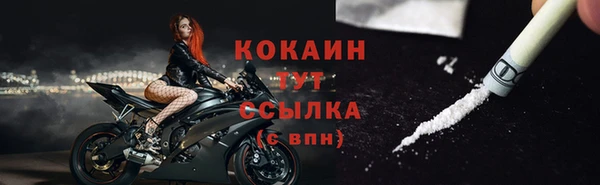 ГАЛЛЮЦИНОГЕННЫЕ ГРИБЫ Михайлов