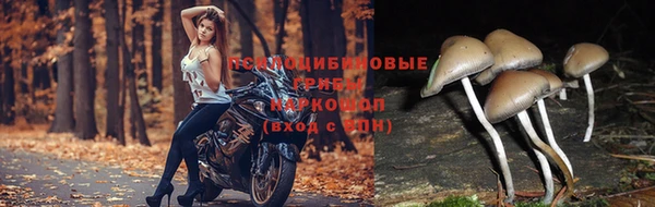 ешки Михайловск