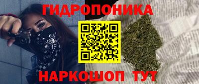 каннабис Аргун