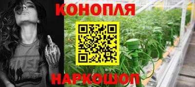стафф Апшеронск