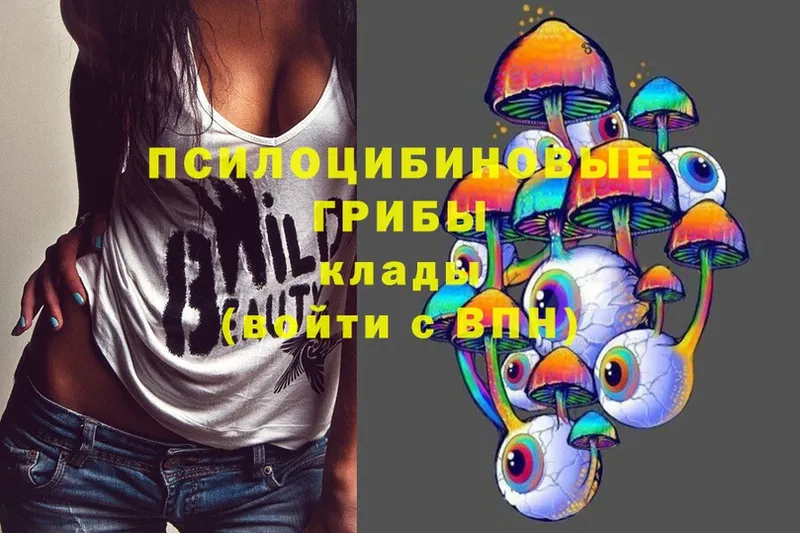 Псилоцибиновые грибы Psilocybe  Апрелевка 