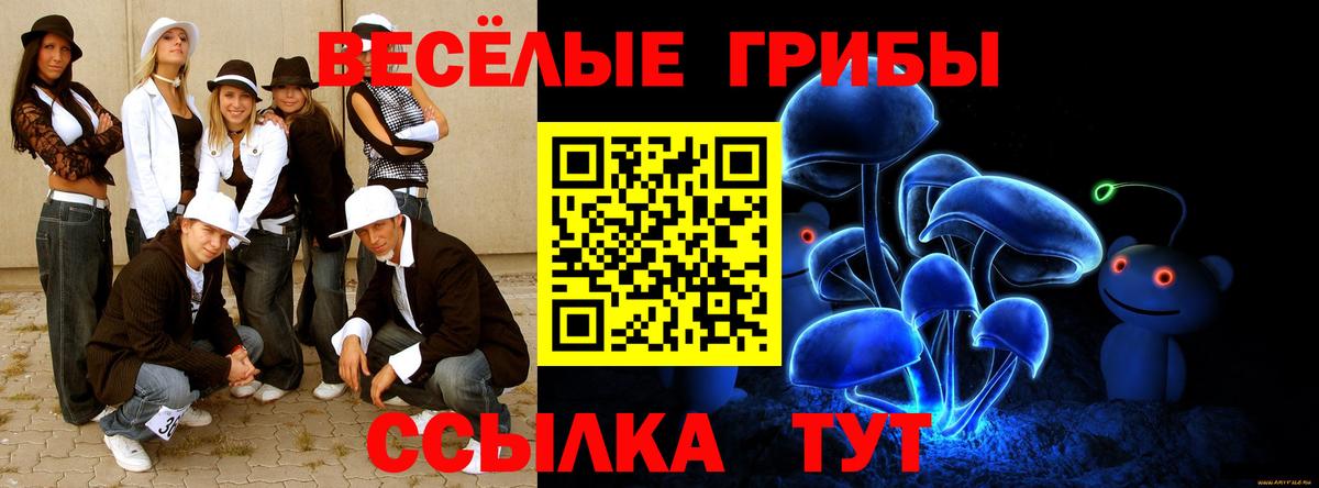 Галлюциногенные грибы Psilocybe Апрелевка