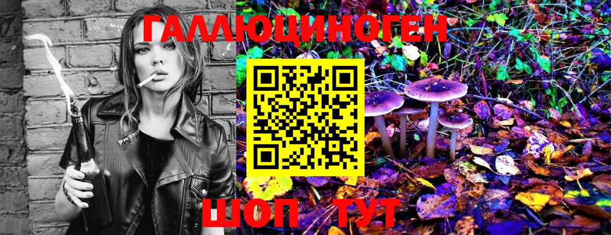 Псилоцибиновые грибы прущие грибы Апрелевка