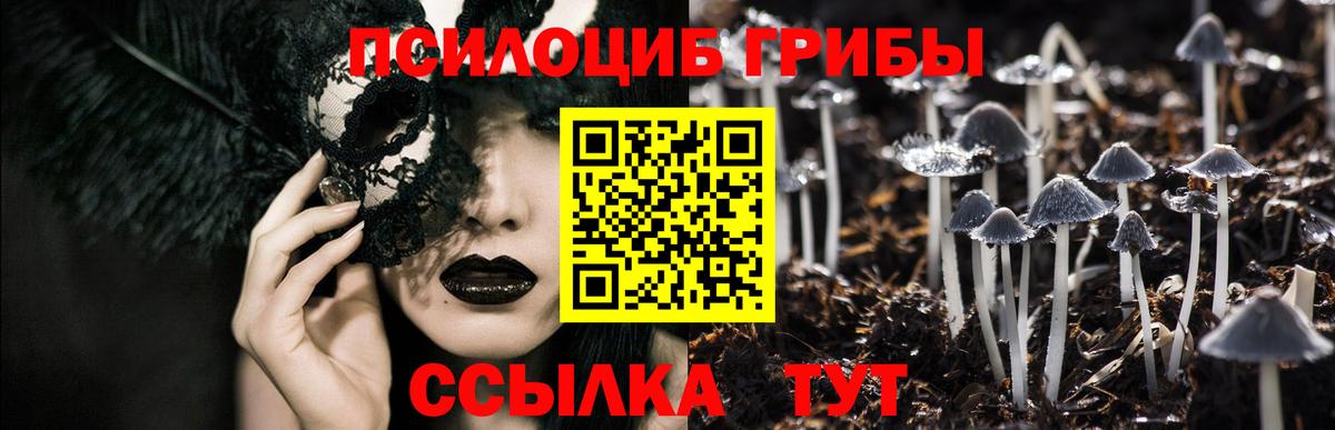 Псилоцибиновые грибы GOLDEN TEACHER  Псилоцибиновые грибы мухоморы  Апрелевка  закладки  Вход с VPN 